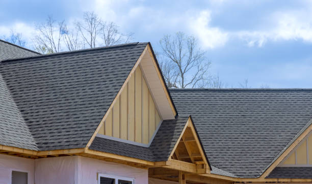 Best Asphalt Shingles Roofing  in Savannah, TN